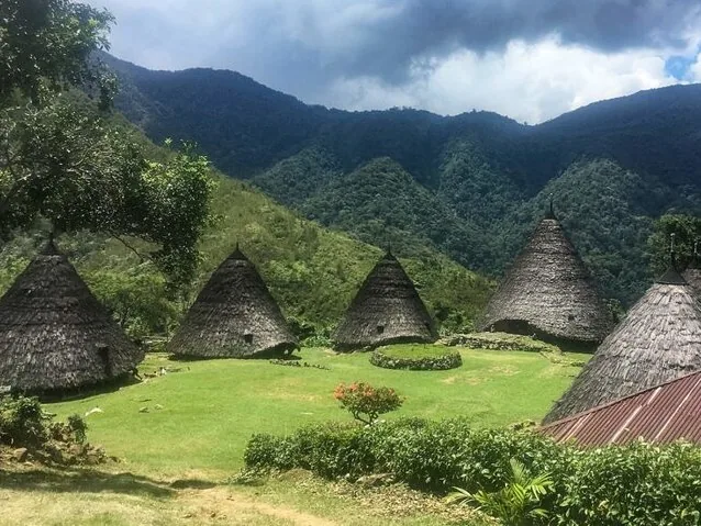 Case tradizionali al Villaggio Tradizionale di Wae Rebo, incastonate tra montagne verdi e lussureggianti.