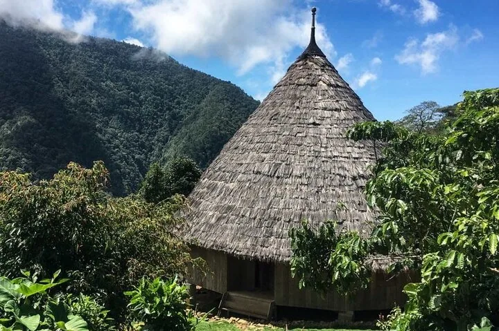 A conical, thatched-roof house characteristic of Wae Rebo Traditional Village among vegetation.