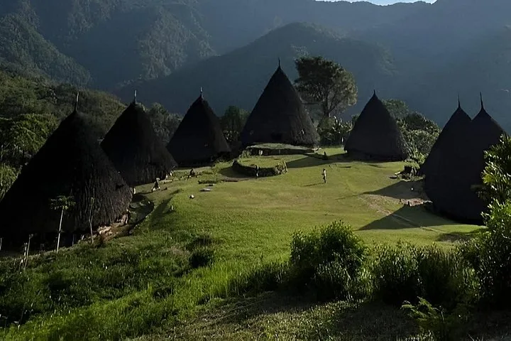 Conical traditional houses in Wae Rebo Traditional Village glowing in sunlight against mountains.