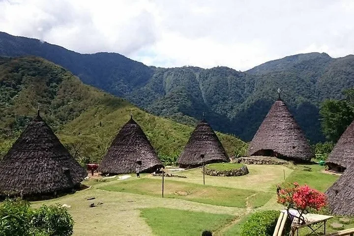 Traditionelles Dorf Wae Rebo mit charakteristischen konischen Häusern in einer Berglandschaft.