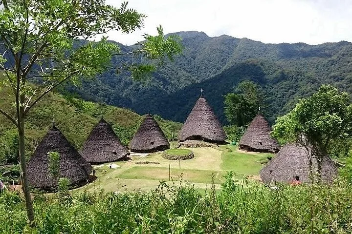 Das ikonische traditionelle Dorf Wae Rebo, eingerahmt von üppigen Bergen und Bäumen.
