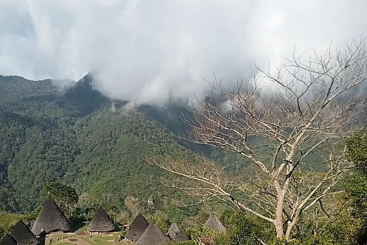 Foto del tour
